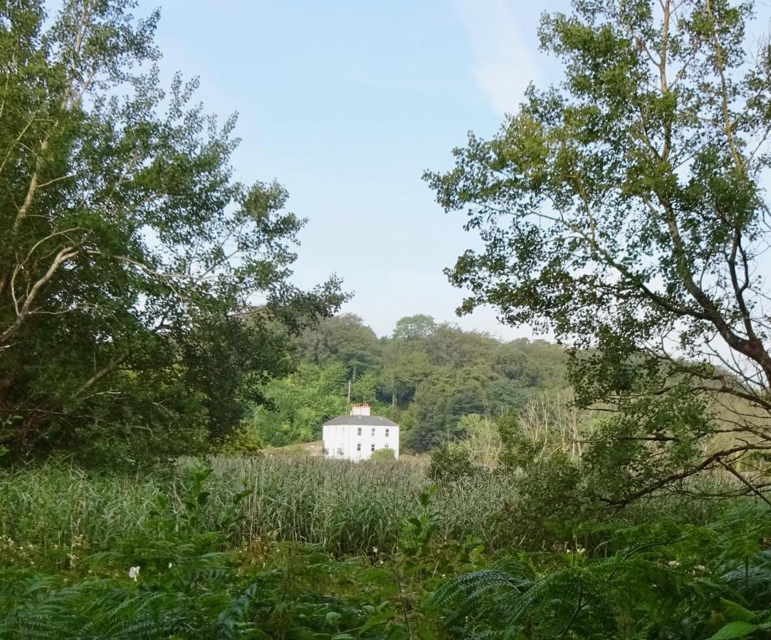 Riverbank House Bed And Breakfast Innishannon Exterior photo